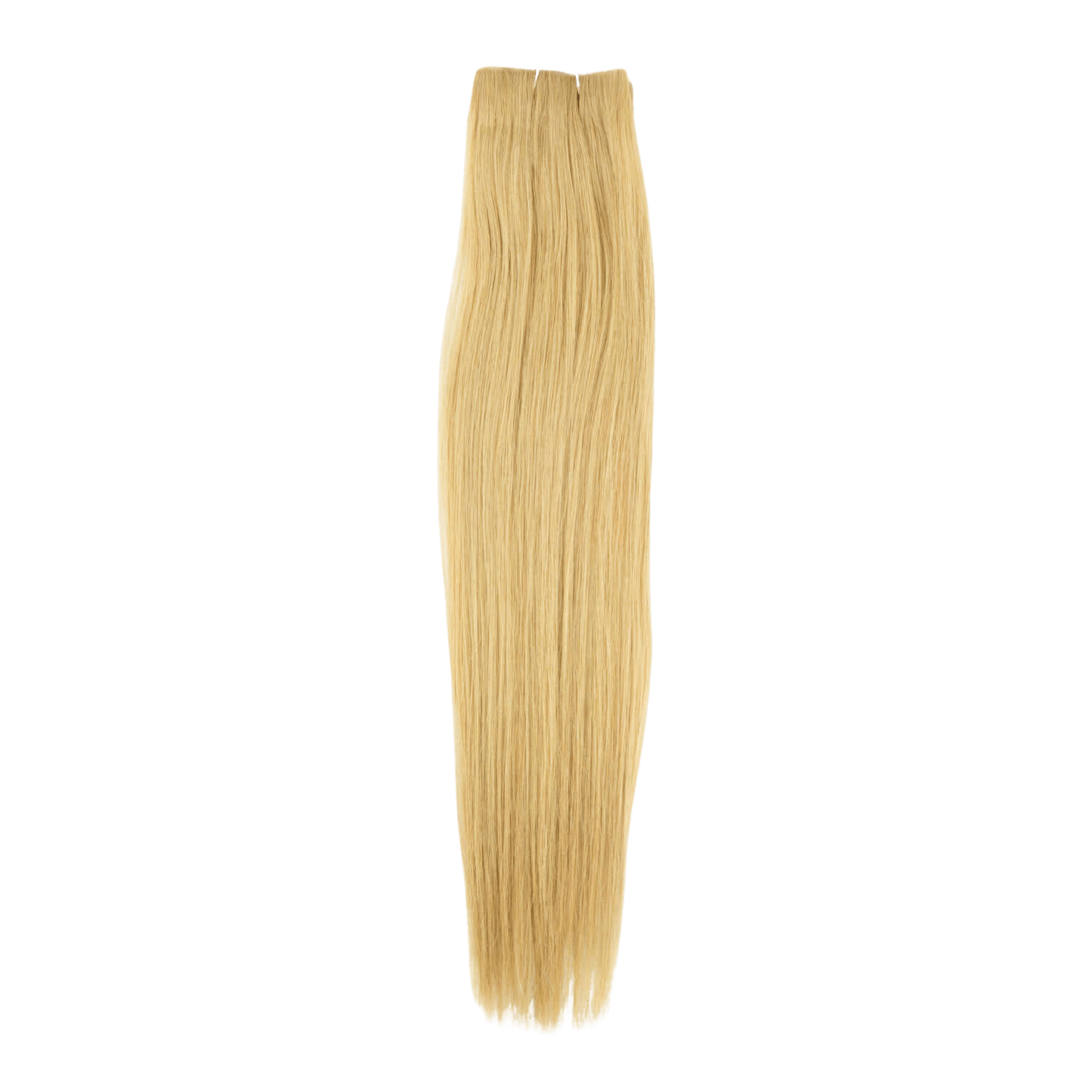 18" Bohyme Classic - Hand Tied Skin Weft Clip In - Silky Straight - FINAL SALE - 16 - SWHST-18-16